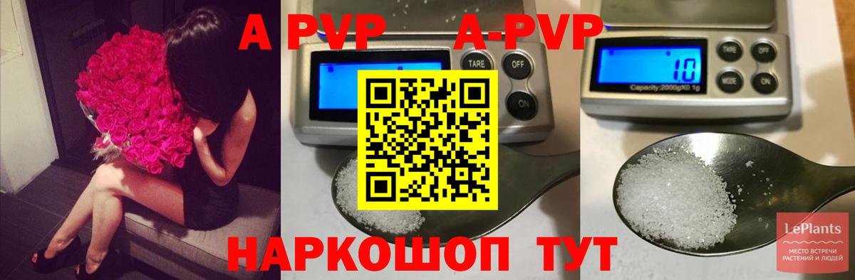 как найти закладки  Вход с VPN  Альфа ПВП СК КРИС  Новотроицк  APVP СК КРИС 