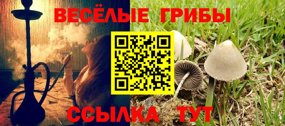 Псилоцибиновые грибы мухоморы Новотроицк